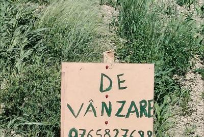 Teren de 3400 mp, în Jupa - 5
