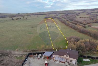 Teren agricol extravilan de 5800 mp, în Purcăreni - 7