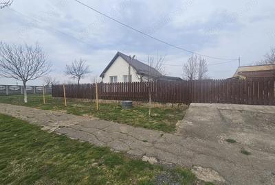 Casă cu Teren 1667 Mp în Alioș - 10