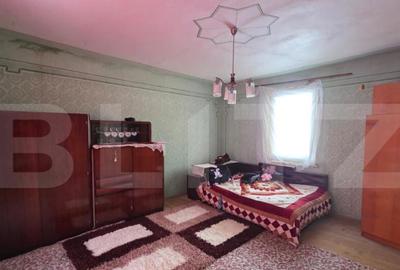 Casa cu teren 32 ari Viile Tecii, la 30 km de Bistri?a - 4