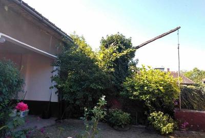 Casă cu 4 camere în Buhani - 6