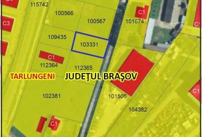 Spațiu comercial, în Cărpiniș - 2