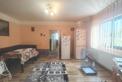 Casa spatioasa + teren 4800 mp, deschidere la 2 strazi - ideal locuit/investitie - 5