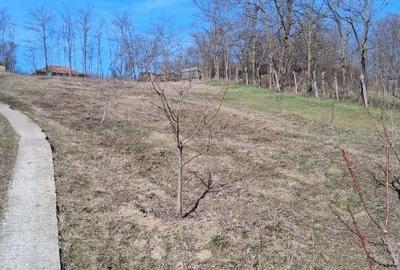 Teren Construcții intravilan de 1500 mp, în Muntenii de Jos - 3