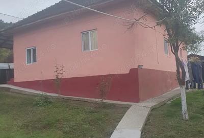 Casa de vanzare in sat Iliesti, com.Ionesti, jud.Gorj - 2