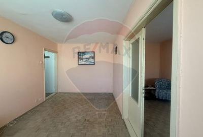 Apartament cu 2 camere semidecomandat în Valea Rosie - 3