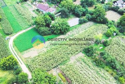 TEREN intravilan GIROV  4133 mp - 7