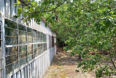 Casa Poienarii Burchii - 6