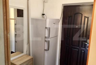 Garsonieră semidecomandată, mobilată în Brazda lui Novac - 2