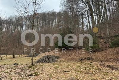 Teren Construcții extravilan de 1402 mp, în Blidari - 1