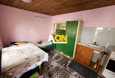 De vanzare casa 3 camere, 719mp teren, Cetate - 10