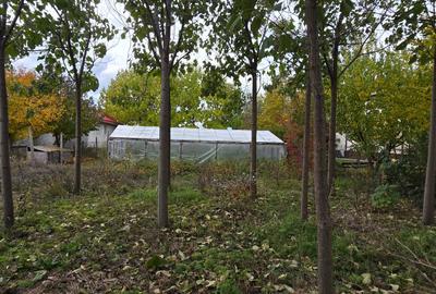 Teren  715  mp  intravilan Petresti - 12