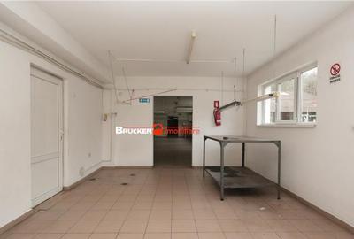 Hala de inchiriat in Marghita - 17