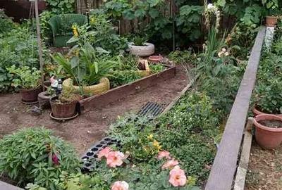 Teren Construcții intravilan de 1650 mp, în Vărsătura - 2