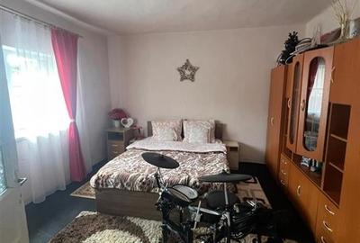 RECO casa renovata complet, gata de mutat, mobilata-utilata, in Josani, Bihor - 7