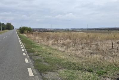 Teren de 3750 mp, în Brănești