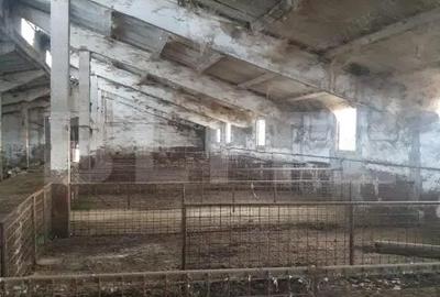 Spațiu comercial, în Central - 1