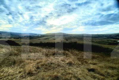 Teren de 2900 mp, în Sopor - 3