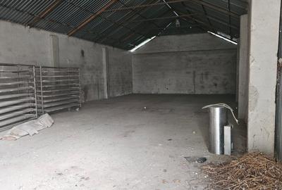 Casă individuală cu 4 camere cu Teren 6700 Mp în Gelu - 11