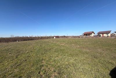 Teren Construcții intravilan de 1075 mp, în Găneasa - 4