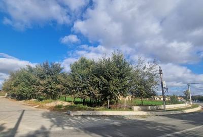 Teren Construcții intravilan de 6732 mp, în Mihai Viteazu - 4