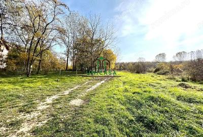 Teren Dem Radulescu 1092mp - 4