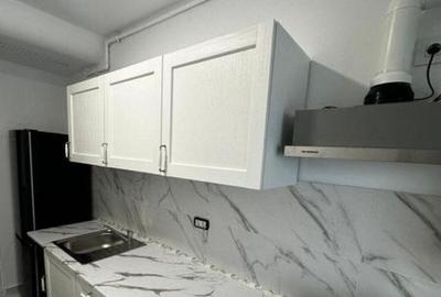 Garsoniera Premium 42 mp Prima Inchiriere Langa Parcul Carol - 14