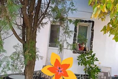 Casa aproape de Promenada Mall Brestei str Buzaului! - 1