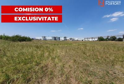 COMISION 0% Teren de vanzare intravilan de 5000 mp in Chisoda - 11