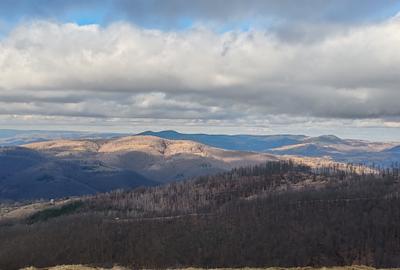 19,5 Ha  TEREN PEISAJ PANORAMIC SPECTACULOS zona turistica montana BULZ -  BIHOR - 29