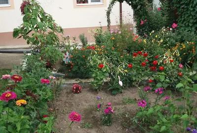 Casă cu 2 camere cu Teren 400 Mp în Gura Humorului - 10