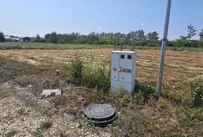 3 loturi cu suprafete de 600 mp si  deschidere de 20 in Eden Forest - 5