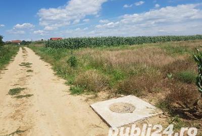 Teren de 5000 mp, în Malu Mare - 2