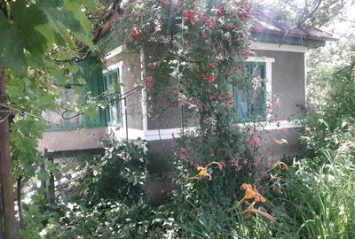 Vand casa in Piatra Neam?. - 5