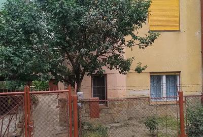 Vand in Arad apartament la parterul unei Vile
