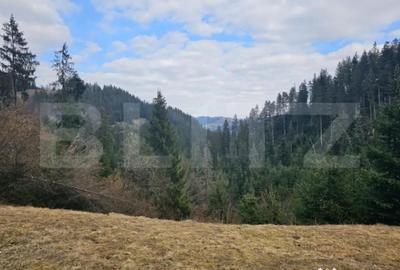 Teren în Scărișoara - 5