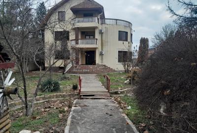 Casă cu 8 camere cu Teren 1450 Mp în Joița - 3