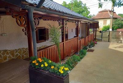 Vind 2 case Carei Satu-Mare,singur in curte - 2