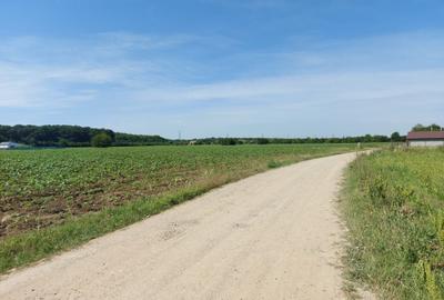 Snagov-Ghermanesti, teren intravilan, 5000mp, la padure - 4