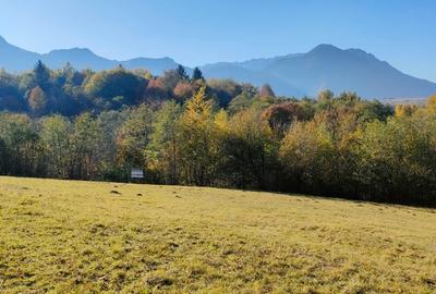 Teren intravilan de 6800 mp, în Tohănița - 5