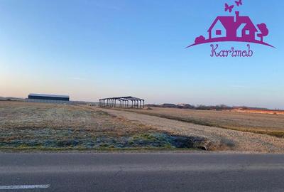 Parcele de teren industrial pentru diferite activitati ec... - 5