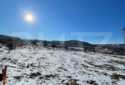 Teren de 5400 mp, în Rădășeni