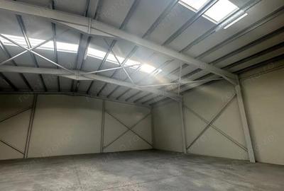 Hala productie sau depozit / Production hall or warehouse - 4