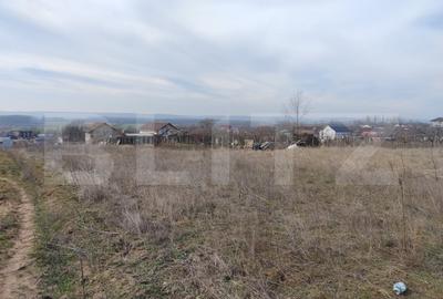 Teren Construcții intravilan de 1469 mp, în Malu Mare - 5