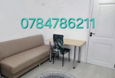 Garsonieră în 1 Decembrie 1918 - 5