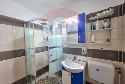 Apartament de 2 camere, 9 minute metrou Gorjului Apartament de 2 camere, 9 minute metrou Gorjului - 18