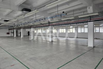 Spatiu industrial 673mpu de inchiriat in Cisnadie - 2