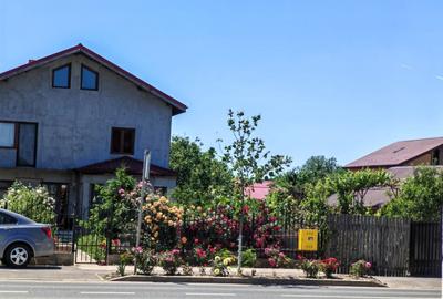 Teren Construcții intravilan de 556 mp, în Berceni - 2