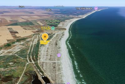 10.000 MP PRIMUL RAND LA MARE - - 3