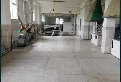Spațiu comercial, de 600 mp, în Brătășanca - 19